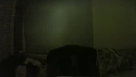 Snapshot of lily_lovelyman_ chatting on 02-01-25, 06:08 lily lovelyman online show from 02-01-25, 06:08