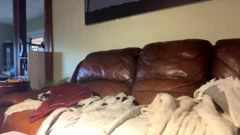 Richie Rich online show from 12-06-24, 07:23