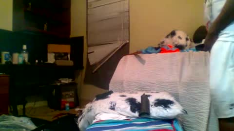 Richie Rich online show from 01-05-25, 08:22