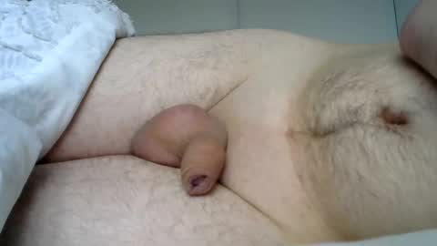 lion2662 online show from 01-03-25, 10:41