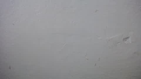 lisa_branch online show from 12-20-25, 11:17