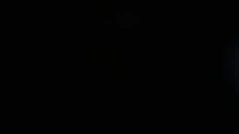 Lisa  online show from 11-23-25, 11:54