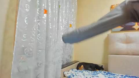 Snapshot of lisasimsx chatting on 08-01-26, 03:50 Lisasimsxs online show from 08-01-26, 03:50