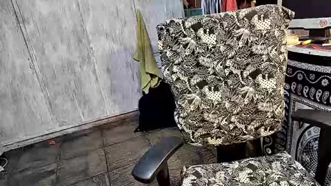 little_savage online show from 03-25-26, 02:06