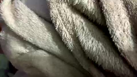 little_sissy_wendy online show from 02-28-25, 09:33