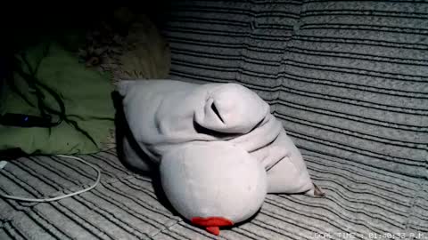 Malej Kmo online show from 02-17-26, 12:40