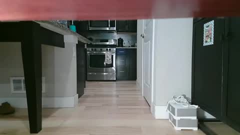 Littlleclitty247 online show from 09-11-25, 09:48