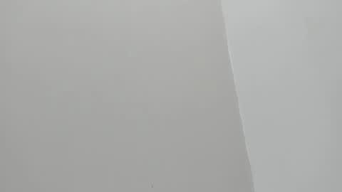 im olivia IG littleolivia01 online show from 01-29-25, 12:45