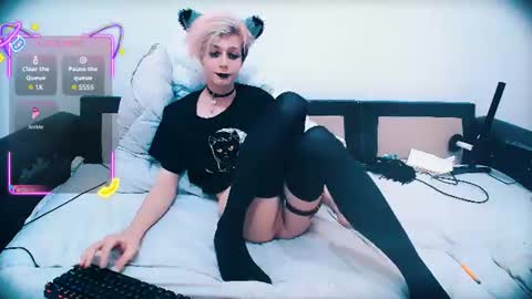 Snapshot of littlepinkcat chatting on 06-20-26, 11:18 Felix online show from 06-20-26, 11:18