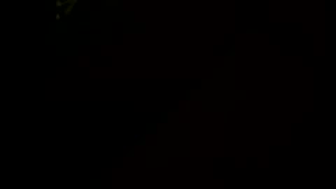 Snapshot of littletj324312 chatting on 01-17-26, 06:29 Little Tj online show from 01-17-26, 06:29