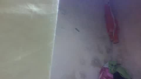 Snapshot of littleyanah chatting on 09-11-25, 11:21 yanah online show from 09-11-25, 11:21