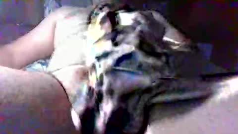 Snapshot of litwinpaweel chatting on 10-28-25, 08:22 litwinpaweel online show from 10-28-25, 08:22