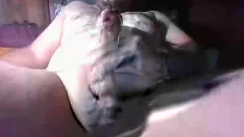 Snapshot of litwinpaweel chatting on 12-02-25, 08:26 litwinpaweel online show from 12-02-25, 08:26