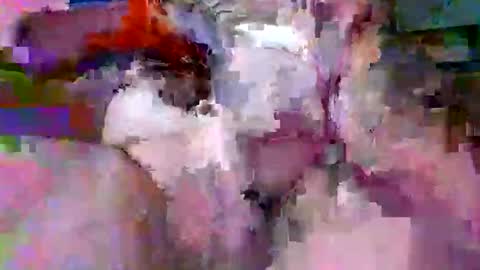 litwinpaweel online show from 04-14-26, 07:42