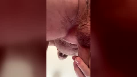 liverpoolfc1986 online show from 02-28-26, 12:39