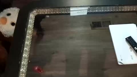 Snapshot of ljandcherry chatting on 11-01-25, 07:21 LjCherry online show from 11-01-25, 07:21