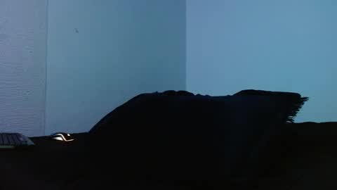 lliamm 2 online show from 09-27-25, 05:23