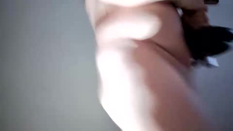 lllortx online show from 02-17-26, 04:24