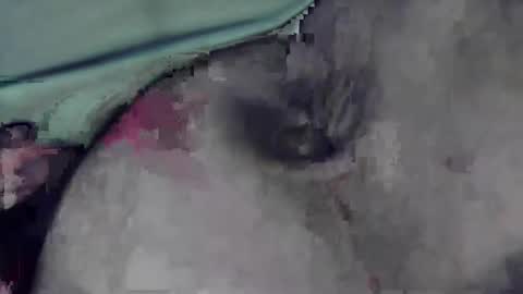 Snapshot of lofkok chatting on 03-12-25, 04:13 lofkok online show from 03-12-25, 04:13