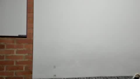 Logan online show from 04-09-26, 03:06