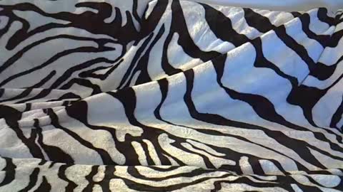 look_at_me_babe online show from 01-26-25, 11:08