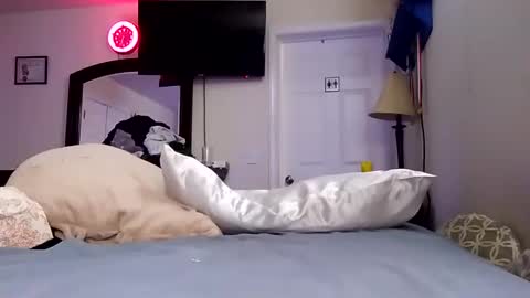 Snapshot of lookatmecum4you chatting on 01-18-25, 11:32 lookatmecum4you online show from 01-18-25, 11:32