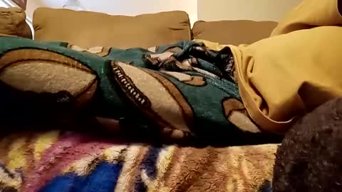 looking4bush online show from 12-15-24, 08:04