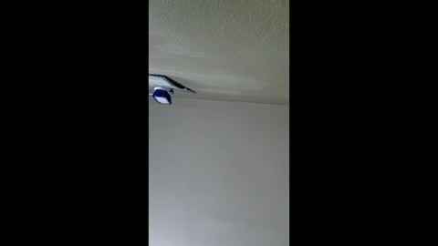 2791 3D online show from 01-08-26, 05:10