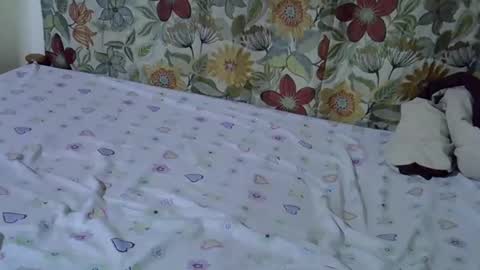 Snapshot of lora_amor chatting on 04-30-26, 09:26 lora_amor online show from 04-30-26, 09:26