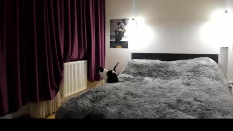 Lora online show from 02-21-25, 05:53