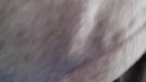 Snapshot of lordhealt chatting on 04-30-26, 01:17 lordhealt online show from 04-30-26, 01:17