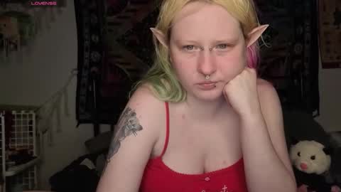 Lori Critter online show from 05-15-26, 11:56