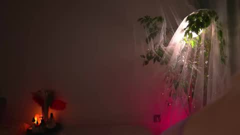 Lorrie online show from 09-30-25, 08:41