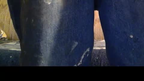 Snapshot of love69bush chatting on 02-08-26, 04:16 love69bush online show from 02-08-26, 04:16