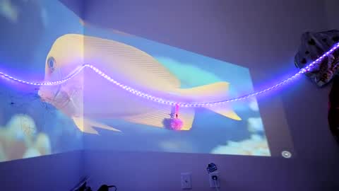 lovecandycunt143 online show from 09-25-25, 08:23