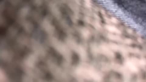 getnaked123 online show from 06-09-26, 01:50