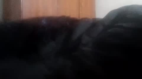 Snapshot of lovely_sweet_girl chatting on 01-01-25, 04:07 katrina follow me guys online show from 01-01-25, 04:07