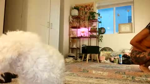 lovelyxmacii online show from 05-08-26, 02:39