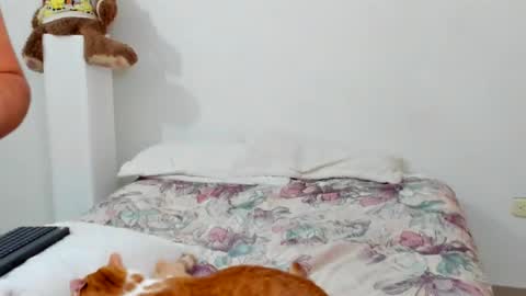 luara__01__lecat_1 online show from 02-11-26, 10:53