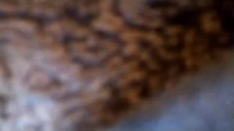 lubestroker4us online show from 02-14-26, 05:32