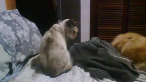 lucas online show from 10-19-25, 09:37