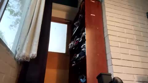 Felipe online show from 12-22-24, 11:52