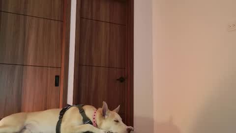 Snapshot of luci_fer15 chatting on 09-09-25, 01:49 Luci y Fer online show from 09-09-25, 01:49