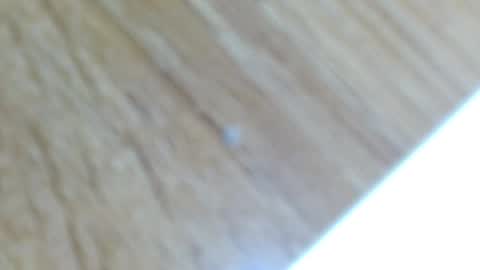 Snapshot of lucie_nicolls chatting on 12-13-24, 12:31 Lucie online show from 12-13-24, 12:31