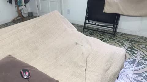 Snapshot of lucifer_curious chatting on 01-05-26, 08:45 lucifer_curious online show from 01-05-26, 08:45