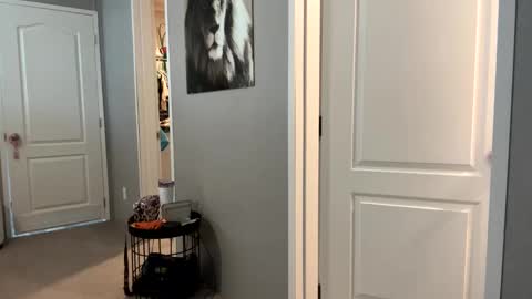 lucious_stace online show from 09-22-25, 03:47