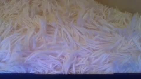 Snapshot of luckmoneylove1012 chatting on 09-20-25, 05:14 prettybaby1012 online show from 09-20-25, 05:14