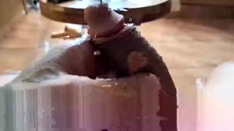 lucky_og24 online show from 12-27-24, 10:37