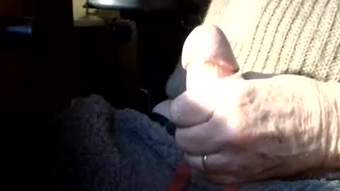 BIG Daddy cock. Tips make it harder  online show from 03-08-26, 10:08