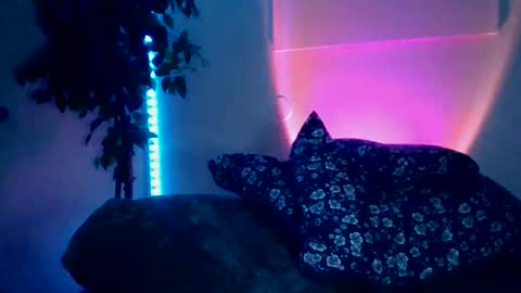 luisjg24hrs online show from 05-18-26, 08:42